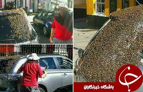 عکسی قدیمی و کمتردیده شده از علی پروین با سبیل/ ارگ سمنان/