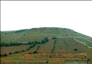 زمین خواری و تغییر کاربری در کرمانشاه متوقف شد