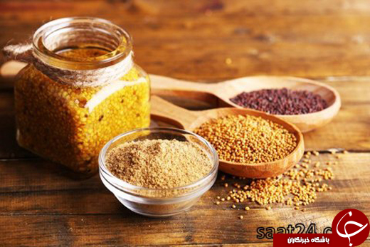 عکس/ از موزه آشغال تا موزه&zwnj;ی ملی سس خردل در عجیب&zwnj;ترین موزه&zwnj;ها