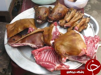 آغاز تهوع&zwnj;آورترین جشنواره جهان/ چینی&zwnj;ها 10 هزار سگ را ظرف 10 روز می&zwnj;خورند!+10 عکس