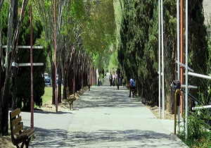 کسب رتبه برتر المپیاد غیرمتمرکز علمی- دانشجویی توسط دانشجویان کرمانشاه