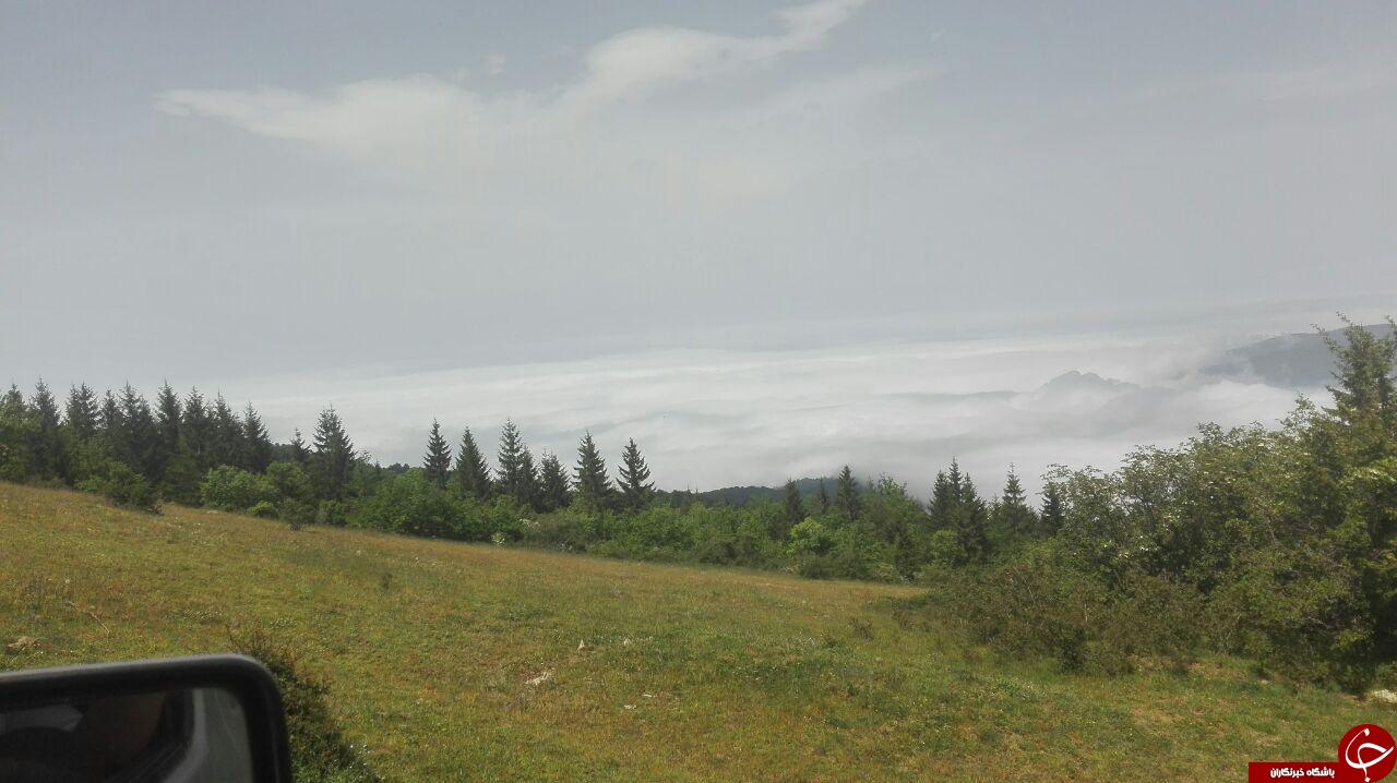 طبیعت بکر و زیبای دهکده مازیچال + تصاویر