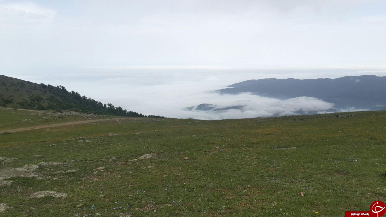 طبیعت بکر و زیبای دهکده مازیچال + تصاویر