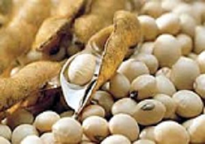 حفظ سلامت قلب، استخوان ها، غده پروستات و سیستم ایمنی با سویا