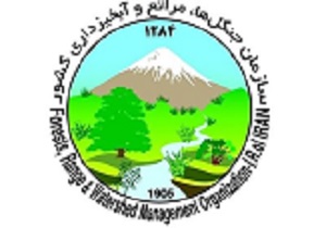 حریق امسال 75 هکتار از عرصه‌های جنگلی و مرتعی کرمانشاه را طعمه خود کرد