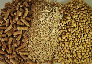 میزان واردات خوراک آبزیان چقدر است؟