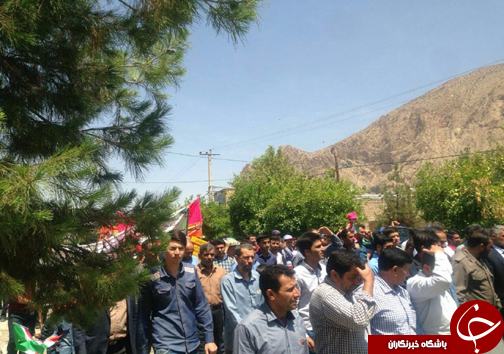 طنین فریاد 