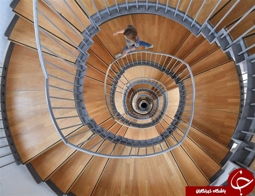 از عبادت مرتاض هندی تا ساخت پای مصنوعی برای فیل