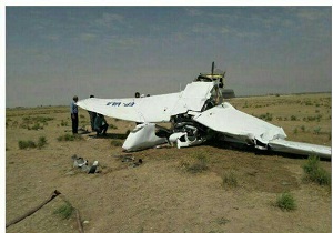 سقوط یک فروند هواپیمای آموزشی در استان البرز/خلبان آموزشی جان باخت +فیلم