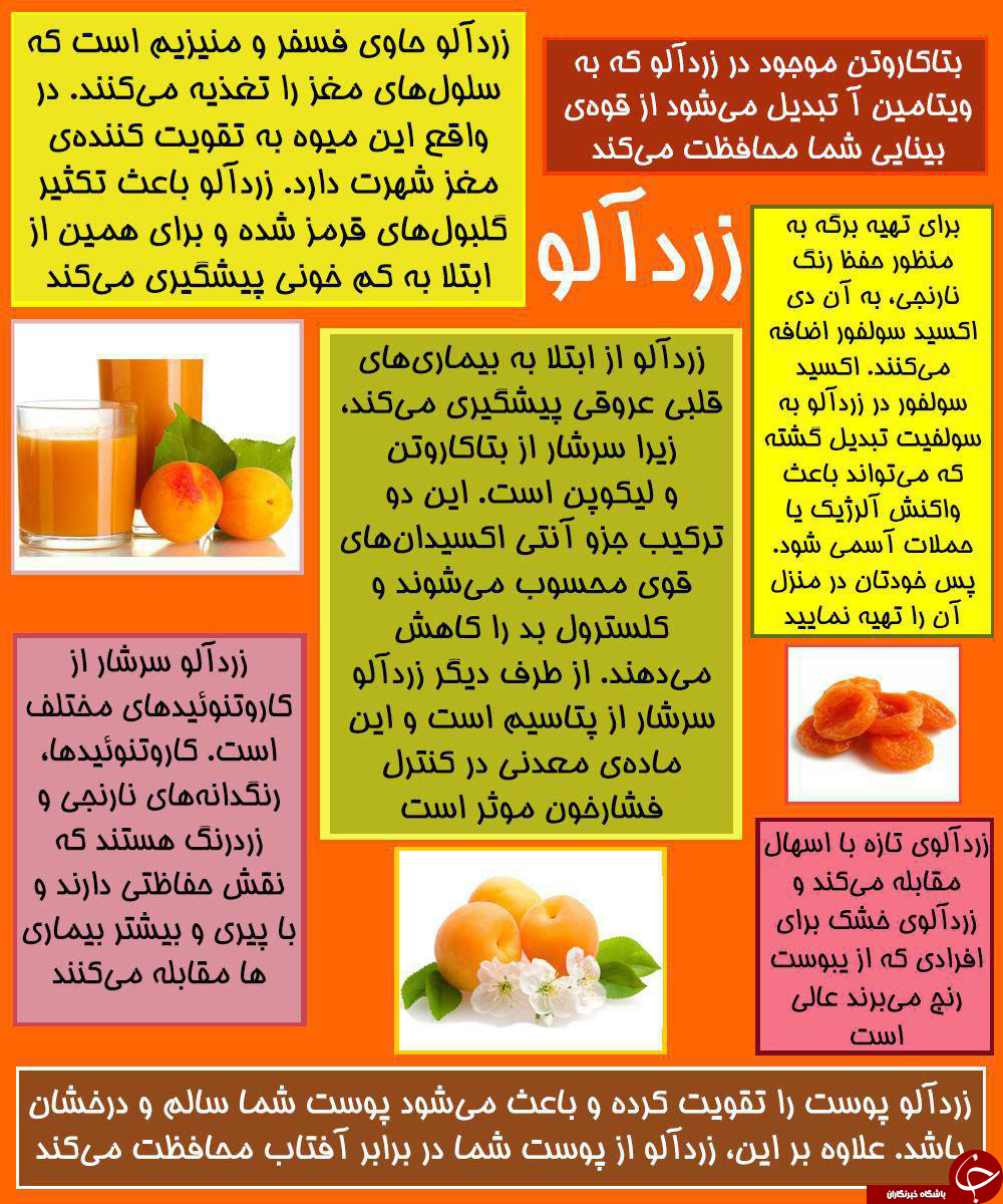 فکت گرافی میوه تابستانه زرد آلو