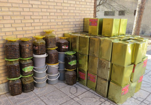 تعطیلی كارگاه تولید ترشی و عرقیات