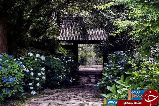 عکس/ ژاپن در یک روز بارانی یا یک نقاشی رویایی!