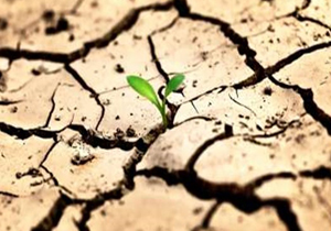تنش آبی در 5 شهر استان کهگیلویه و بویراحمد
