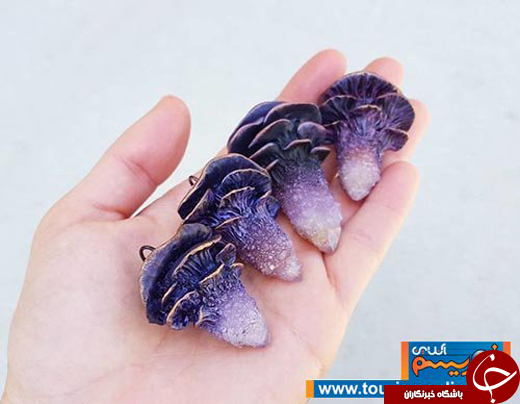 عکس/خلق آثار هنری با تراشیدن جواهر سنگ&zwnj;ها