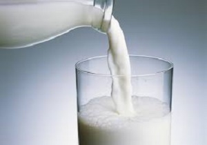 حذف دلالان با اجرای طرح صندوق حمایت از شیر