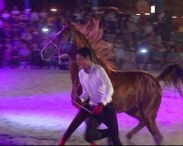 جشنواره اسب فلات ایران در ارومیه