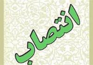 محمد حیدری مدیر کل دفتر تبلیغات و اطلاع رسانی شد
