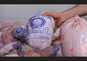 اقدام خیر بوکانی در توزیع گوشت مرغ بین نیازمندان