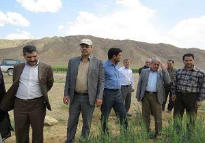 کشاورز ابرکوهی زکات دهنده نمونه کشوری