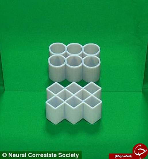خطای دیدی که همگان را گیج کرده بود مقام دوم جهانی کسب کرد +تصاویر