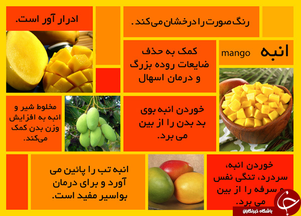 فکت گرافی میوه لذیذ تابستانه، انبه