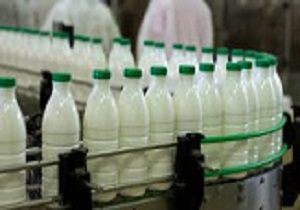 حدود پنج واحد صنعتی تولید لبنیات در کرمانشاه فعال هستند