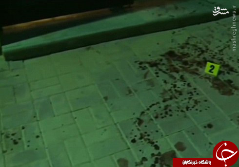 پشت پرده جنایت دوقلوهای سعودی و ضجه عربستانی&zwnj;ها بر &laquo;مادرکشی&raquo;/ مشترکات اعتقادی داعش و وهابیت +عکس