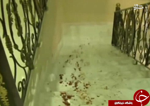 پشت پرده جنایت دوقلوهای سعودی و ضجه عربستانی&zwnj;ها بر &laquo;مادرکشی&raquo;/ مشترکات اعتقادی داعش و وهابیت +عکس