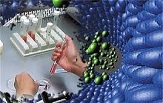راهیابی 8دانش آموز کرمانی به مرحله کشوری المپیادهای علمی