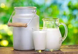 روستاییان مراقب باشند/ لبنیات نجوشیده نخورید