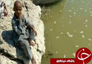 کودک بلوچی طعمه تمساح شد + فیلم