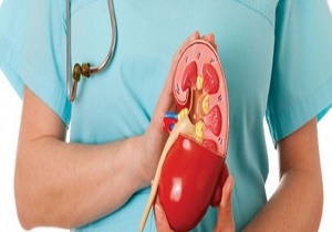 نکات غذایی برای حفظ سلامت کلیه ها
