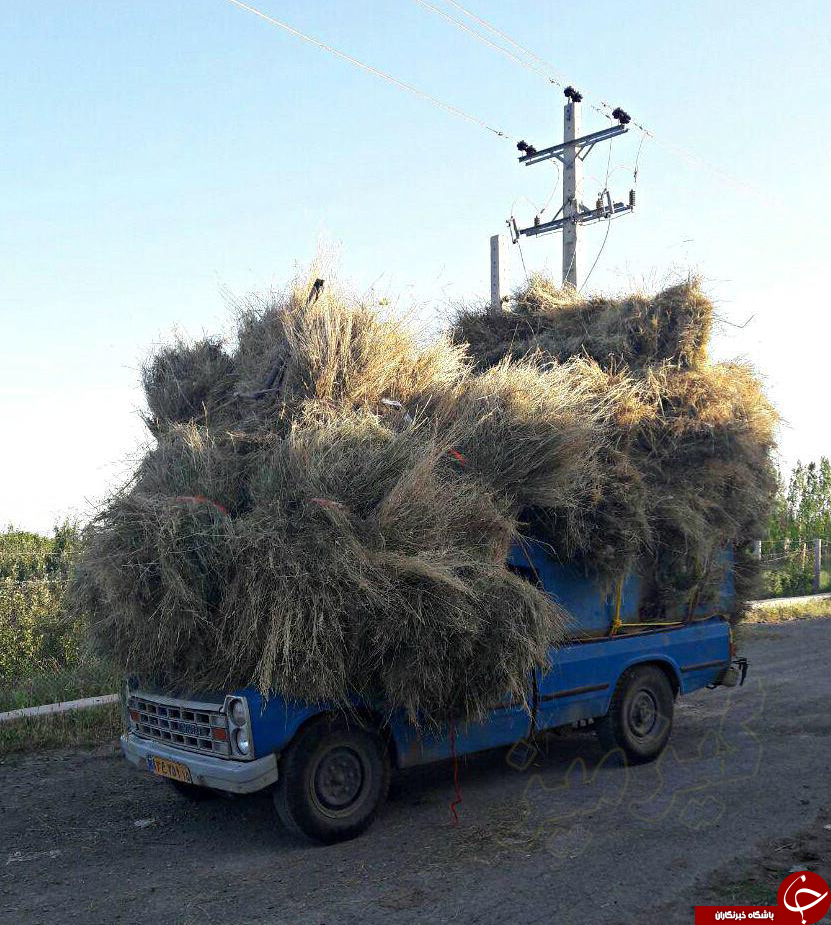 ادای احترام مردم و هنرمندان به عباس کیارستمی /فرو رفتن ماشین در پارکینگ یک ساختمان/تعظیم وزیر نیروی ژاپن به دلیل عذرخواهی از مردم کشورش/عکسی که سینما از آن آغاز می شود