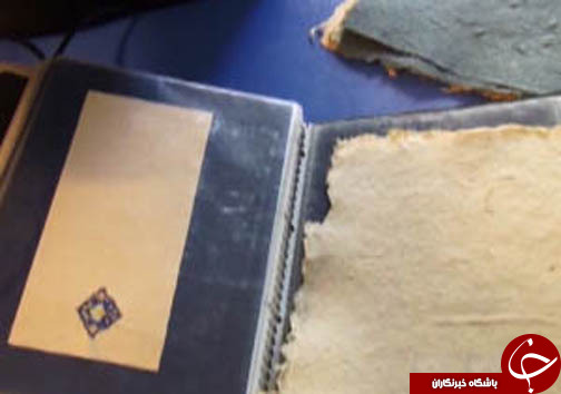 گزارش تصویری از بیماری هزار چهره تا حال و روز باغ وحش مشهد