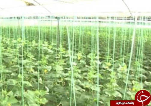 گزارش تصویری از بیماری هزار چهره تا حال و روز باغ وحش مشهد