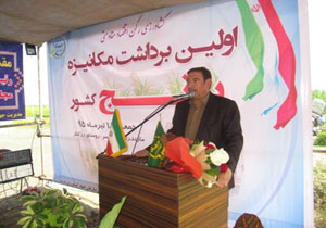کاهش واردات برنج