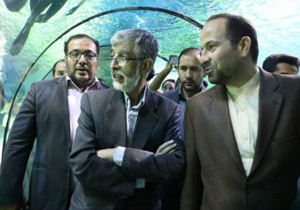 زیبایی آکواریوم اصفهان انسان را به وجد می آورد