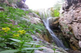 آبشار زیبای بنگان با طبیعت کوهستانی