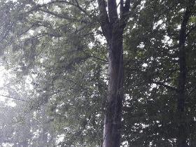 کاهش 5درجه ای دمای هوا