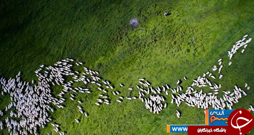 عکس/ برندگان زیباترین عکس&zwnj;های هوایی 