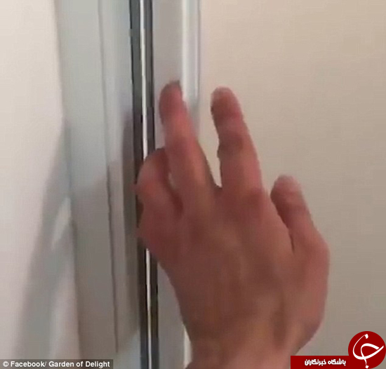 این سگ بازی&zwnj;گوش برای دوش گرفتن چه دردسرها که نمی&zwnj;کشد +تصاویر