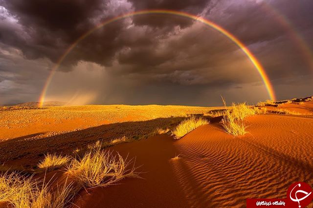 ثبت لحظه های ناب در اینستاگرام نشنال جئوگرافی + تصاویر