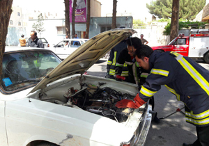 زنده&zwnj;گیری یک مار از داخل خودروی پیکان + تصاویر