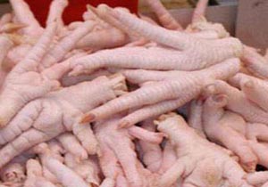 پای پای مرغ بندرعباس به خارج از کشور باز شد + فیلم