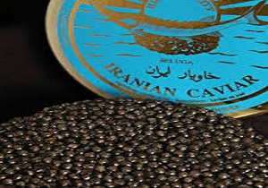تولید مروارید سیاه افزایش می یابد