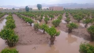 خسارت بارش شدید باران و تگرگ به بیش از  50روستای شهرستان بستان آباد