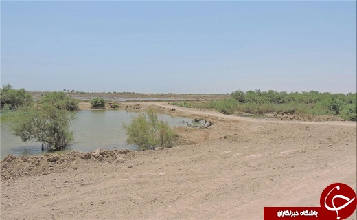 آیا داعش مقصر ورود ریزگردها به ایران است؟/احیای هورالعظیم دروغ است
