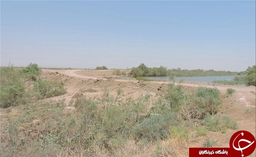 آیا داعش مقصر ورود ریزگردها به ایران است؟/احیای هورالعظیم دروغ است