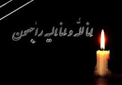دستگیری عاملان شهادت و مجروحیت مأموران انتظامی ماهشهر
