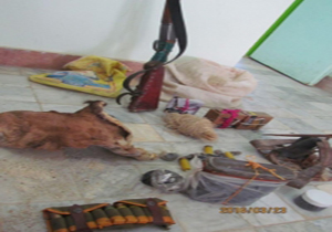 کشف آثار یک رأس قوچ وحشی از منزل شکارچی غیر مجاز
